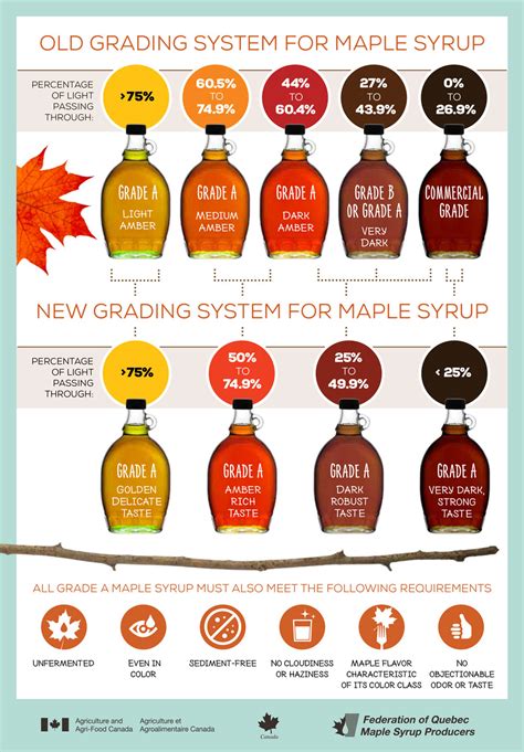 Maple Syrup Grades Explained