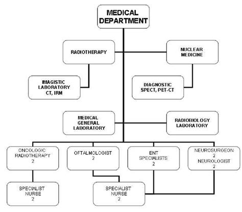 Medical Staff Organizational Chart