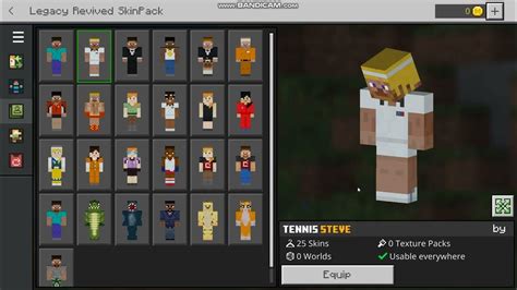 Minecraft Skin Example 2