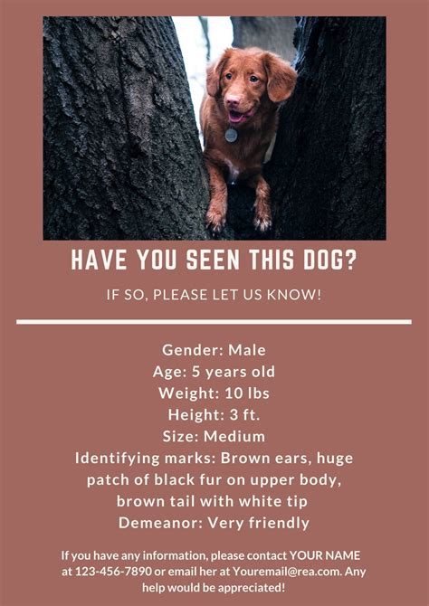 Missing Dog Flyer Template 3