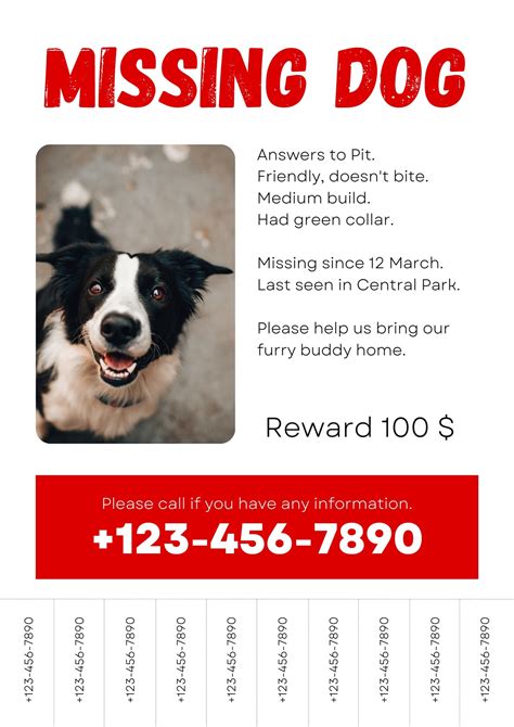 Missing Dog Flyer Template 5