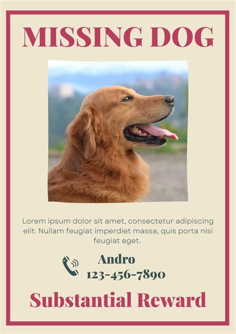 Missing Dog Flyer Template 6