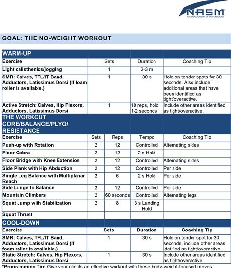 NASM Opt Workout Plan