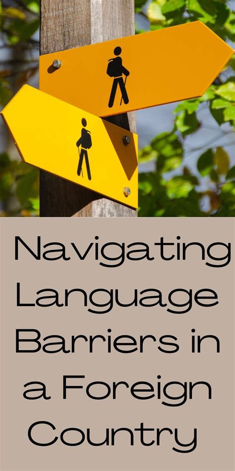 Navigating Language Barriers