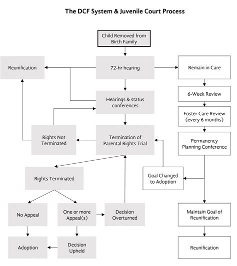 Navigating the Court Process