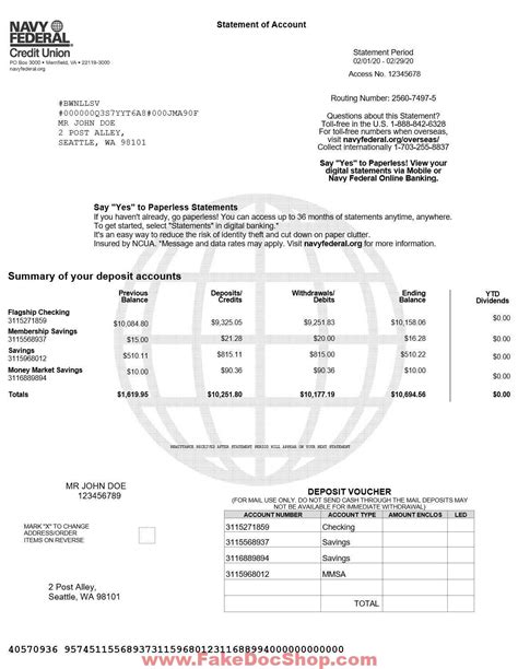 Navy Federal Bank Statement Template Example