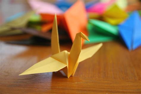 Description of Origami Birds