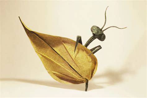 Description of Origami Insects