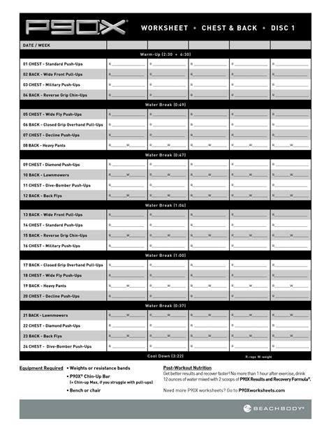 P90X Workout Log