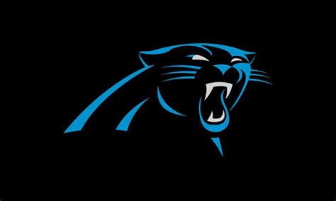 Design Elements of Panthers Logo