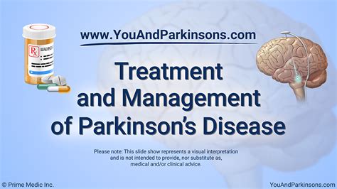 Description of Parkinson's Disease Treatment Options