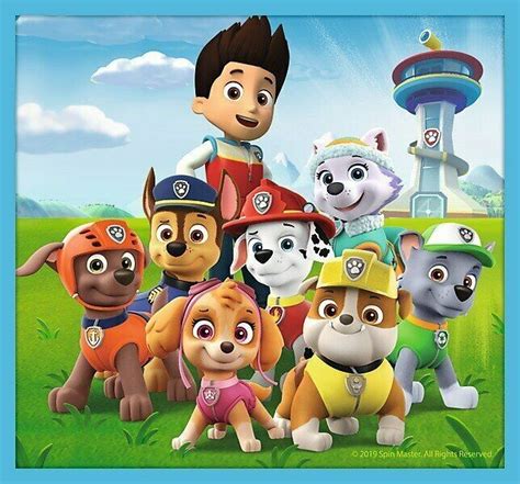 Paw Patrol Team