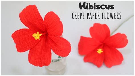 Popular Projects Using Hibiscus Templates