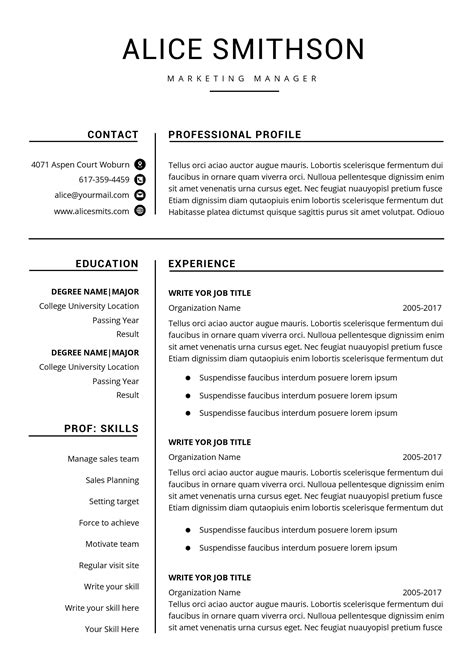 Description of Professional Resume Examples