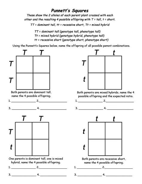 Punnett Square Practice