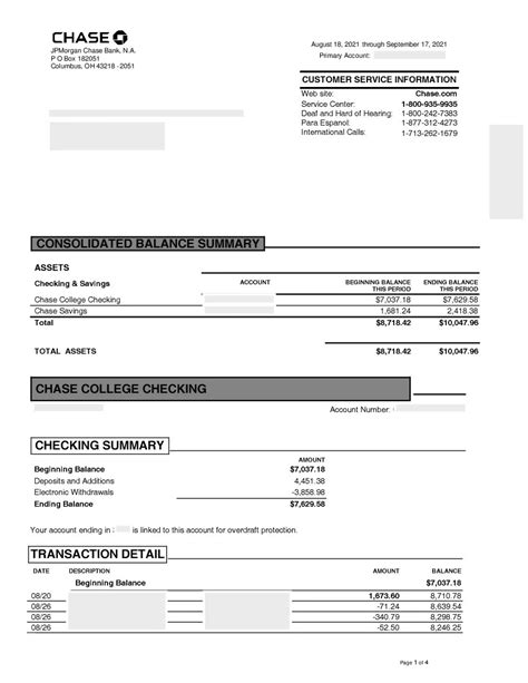 Reviewing Chase Statements