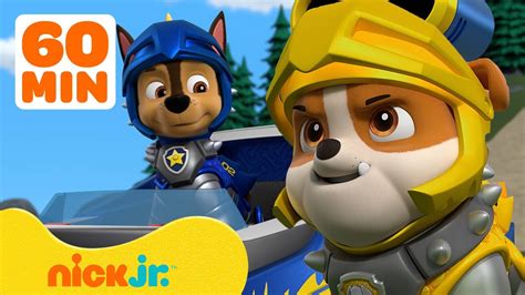 Rocky Paw Patrol teamwork