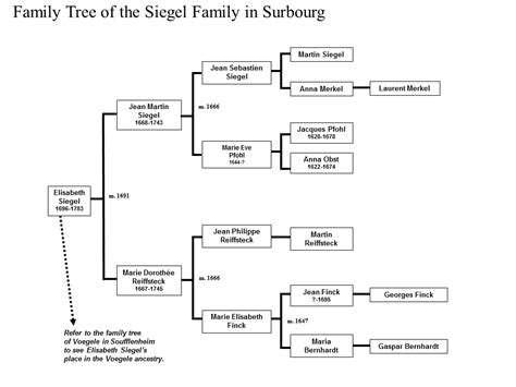 Seagle Family Tree