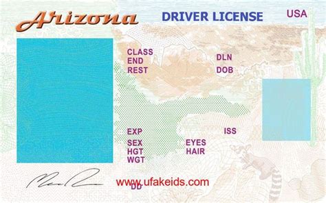 Security Features of Blank Driver's License Templates Example 3