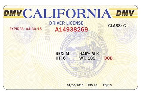 Security Features of Blank Driver's License Templates Example 8