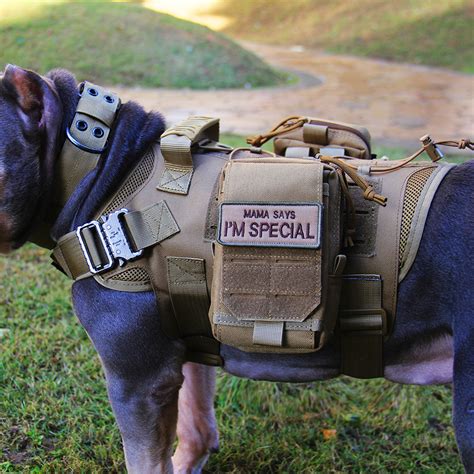 Description of Service Dog Vest Accessories