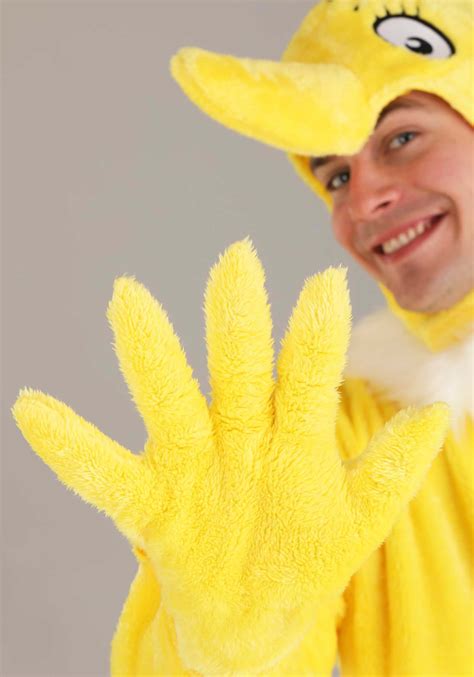 Sneetches Hat