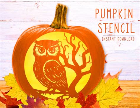 Stencil Owl Pumpkin