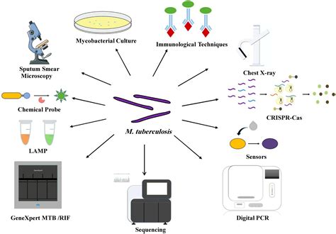 TB Testing Equipment