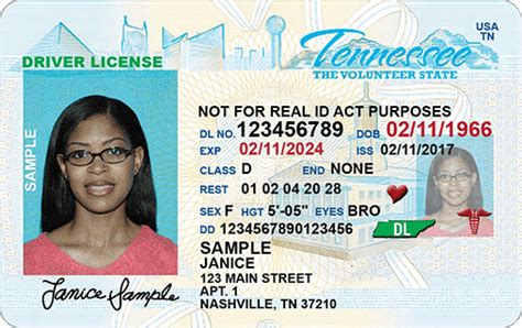 Tennessee Drivers License Renewal