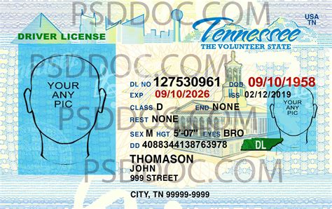 Tennessee Drivers License Types