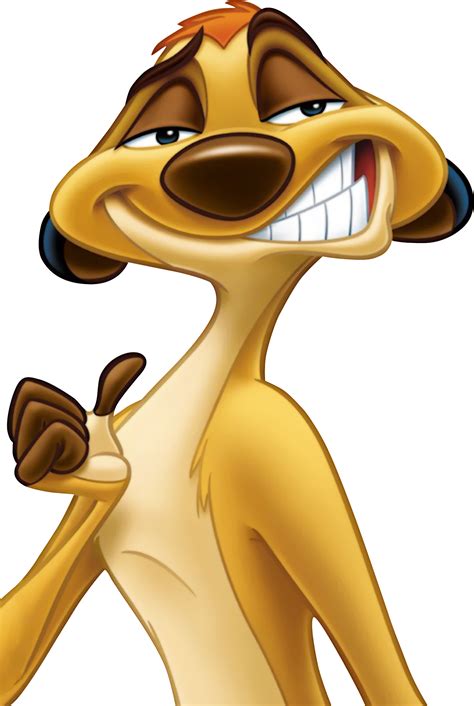 Timon Image