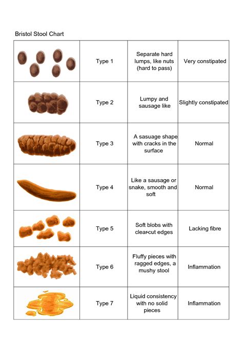 Description of Type 2 Stool