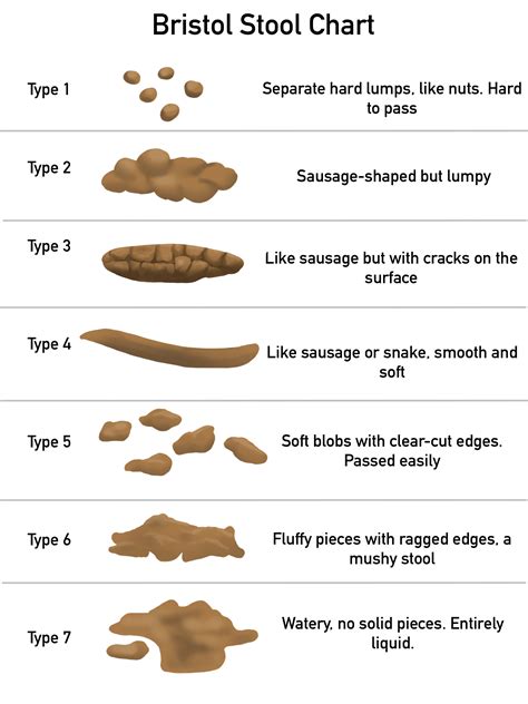 Description of Type 3 Stool