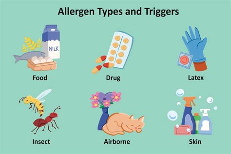 Types of Allergies