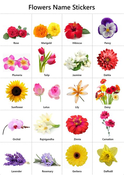 Variety of Flower Templates Available