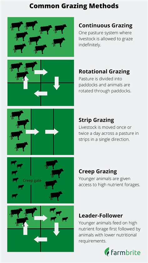 Types of Grazing Leases