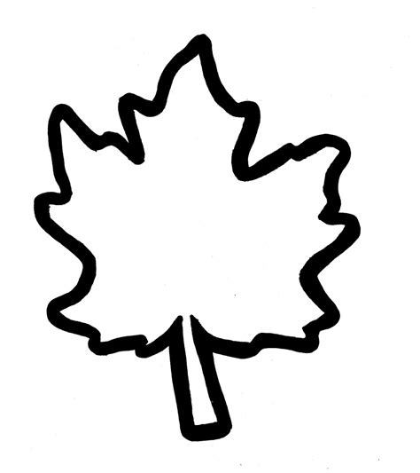 Types of Maple Leaf Templates