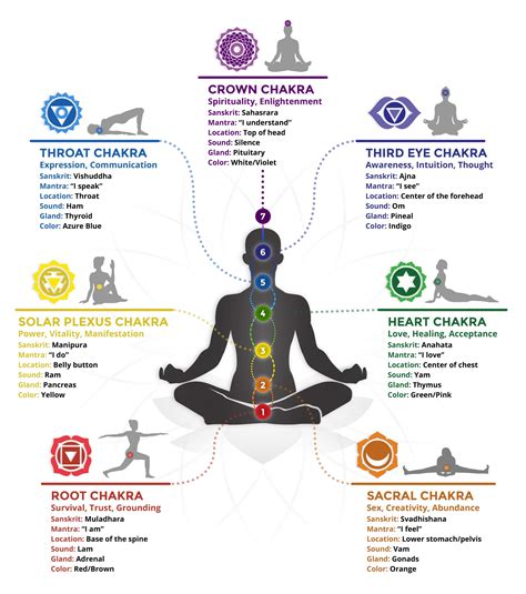 Understanding the Seven Chakras