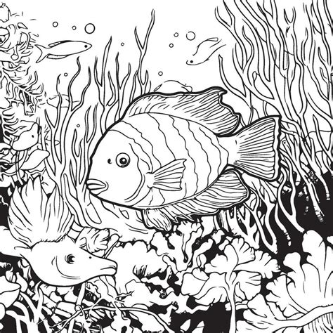 Underwater Adventure Coloring Pages