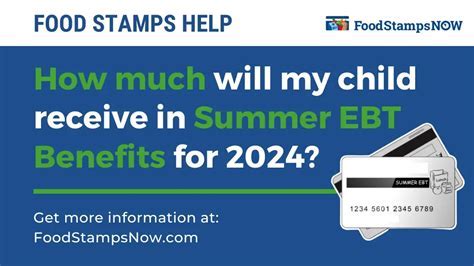 VA Summer EBT 2025 Program Image 1