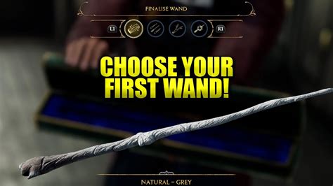 Wand Selection and Care