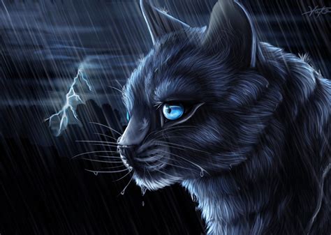 Warrior Cat Images