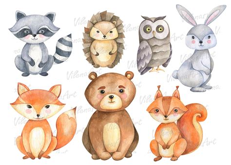 Woodland Animal Clipart Printables for Education