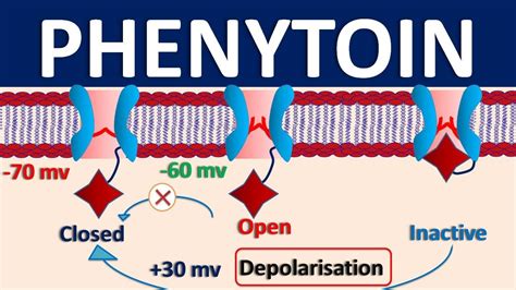 How Phenytoin Works