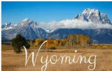 Wyoming EBT Program Information