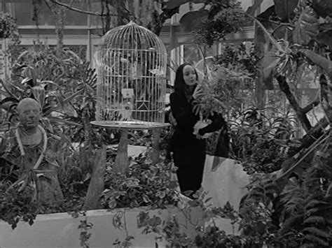 Addams Family Garden