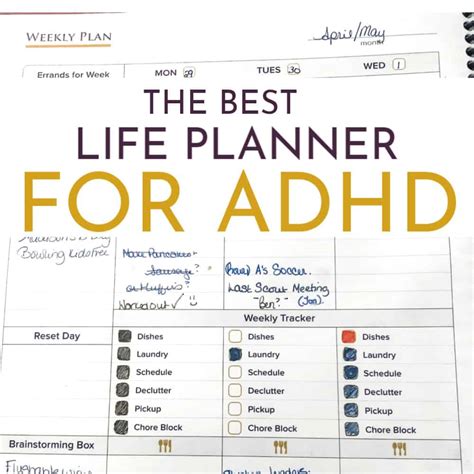 ADHD Planner Success