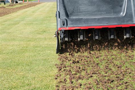 Aeration and Dethatching