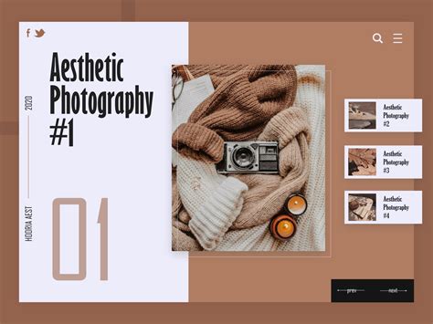 Aesthetic Templates for Websites Example