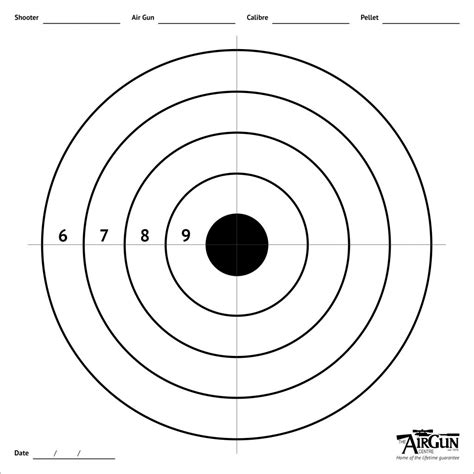 Air Gun Bullseye Target